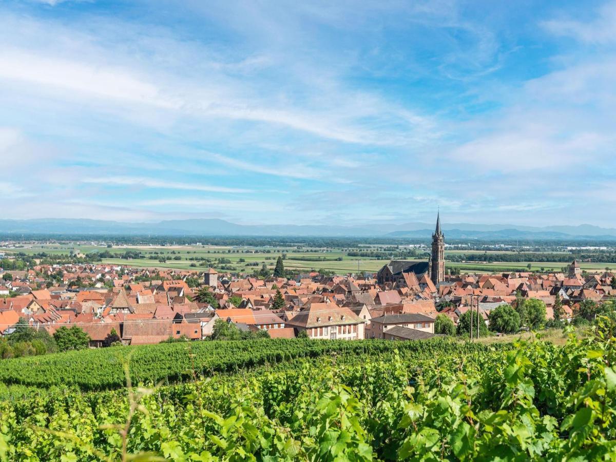 Charming Gite In Dambach La Ville With Terrace Dambach-la-Ville Exterior foto